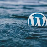 WordPress Theme Do's and Don'ts A Complete Guide