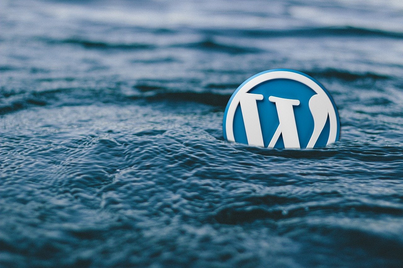 WordPress Theme Do's and Don'ts A Complete Guide
